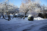 Jardin hiver