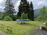 ping pong table