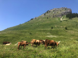 environnement