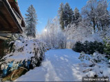 Ground floor at the edge of the woods, garden, terrace, town center_Samoëns