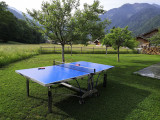 Ping Pong