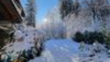 Ground floor at the edge of the woods, garden, terrace, town center_Samoëns