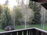 _lv_images__lot_0000000141_07_3069044