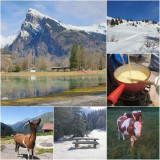 _lv_images__lot_0000000205_11_3443232