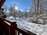 _lv_images__lot_0100621386_13_4040320
