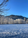 _lv_images__lot_0109022009_14_2940471