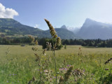_lv_images__lot_0109022115_16_2799633