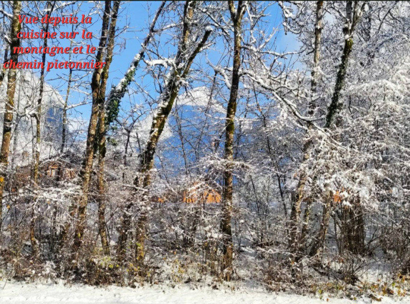 Ground floor at the edge of the woods, garden, terrace, town center_Samoëns