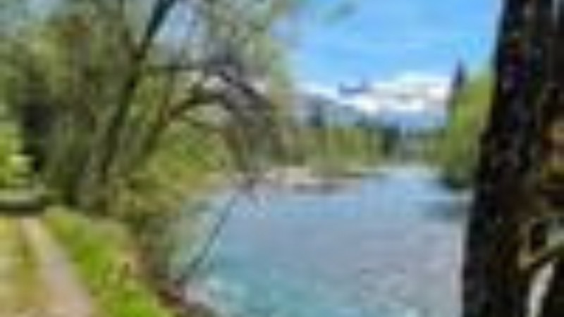 Ground floor at the edge of the woods, garden, terrace, town center_Samoëns