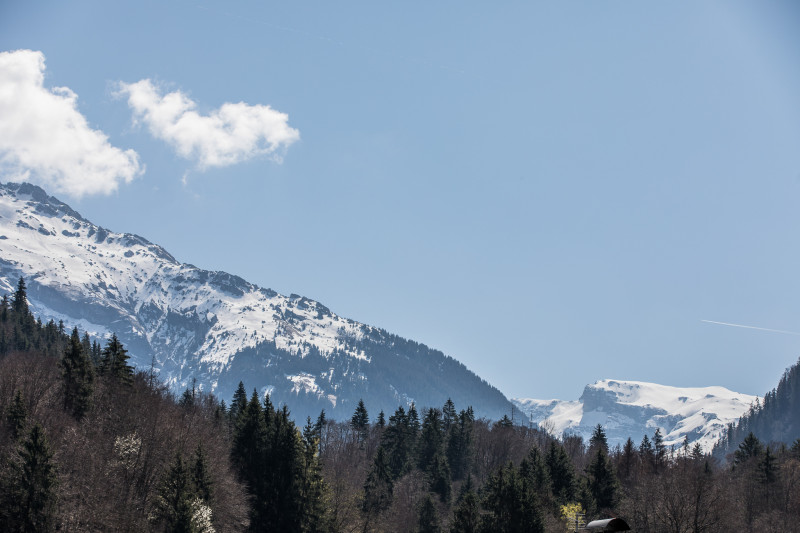 Vue - © LAUGUEUX VINCENT Vue