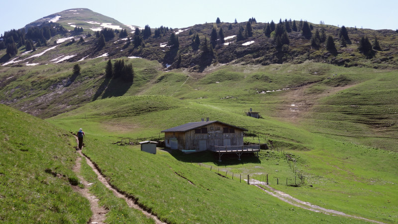 GOLESE - © HEINRICH AMarie GOLESE