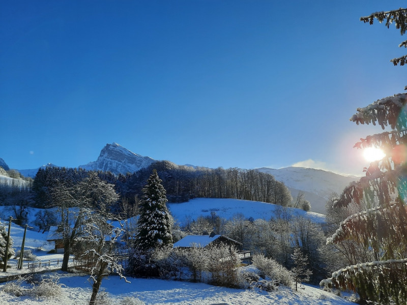 Chalet Yoda_Samoëns - © De Charrière Juliette Chalet Yoda_Samoëns