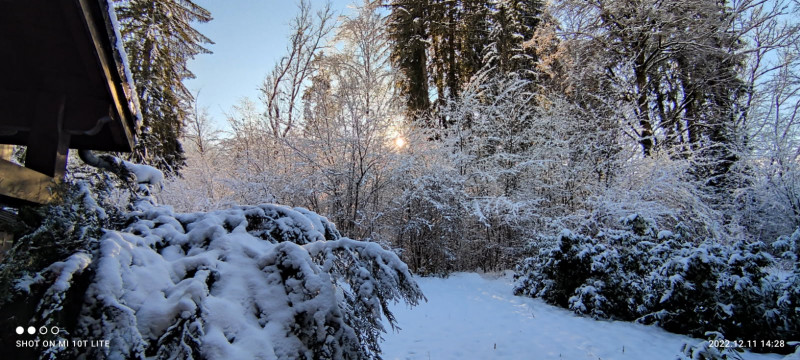 À l'orée du bois_Samoëns - © Coget Celine À l'orée du bois_Samoëns
