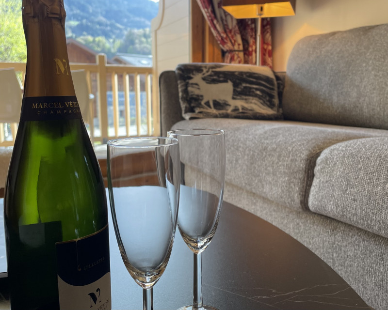 Appartement Gentiane 6_Samoëns