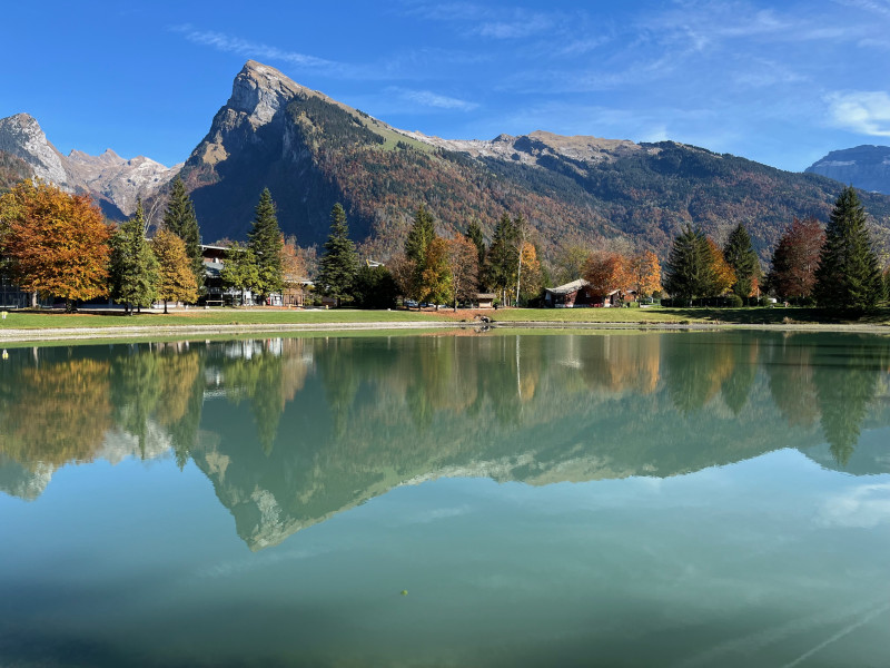 Les Chalets de Bostan_Samoëns - © Delphine Bailly Les Chalets de Bostan_Samoëns
