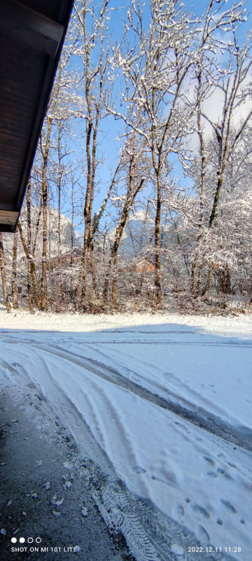 At the edge of the woods_Samoëns