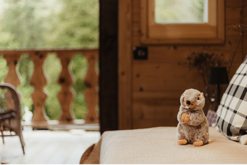 Mazot du Criou, Hébergement de vacances pour 4 personnes_Samoëns