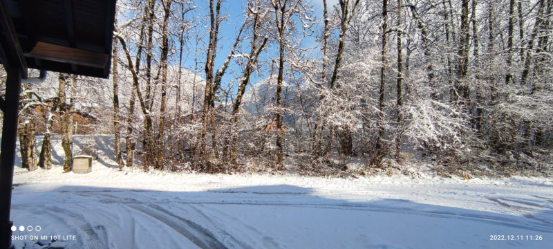 À l'orée du bois_Samoëns - © Coget Celine À l'orée du bois_Samoëns