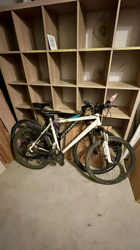 Appartement Le Refuge du Vallon_Samoëns