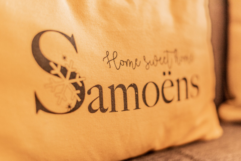 Coussin - © Elise Morgand Coussin