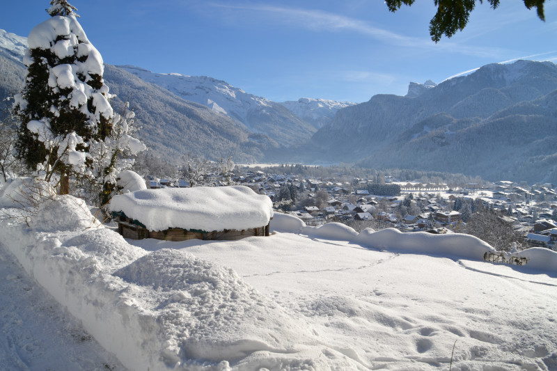 Chalet des Fleurs_Samoëns
