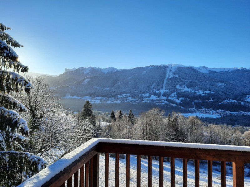 Chalet Yoda_Samoëns - © De Charrière Juliette Chalet Yoda_Samoëns
