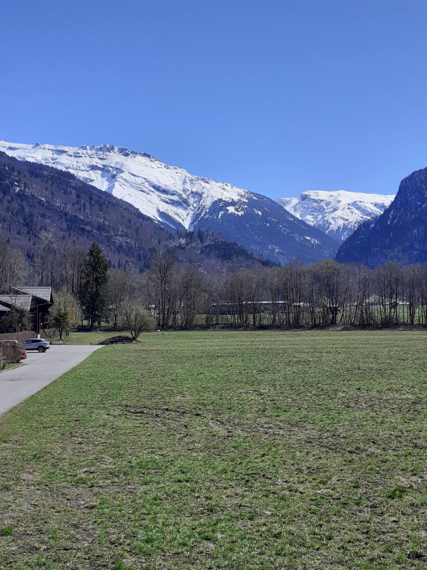 Au Grand Tétras chez Pat_Samoëns - © Yvette Vaudiaux Au Grand Tétras chez Pat_Samoëns