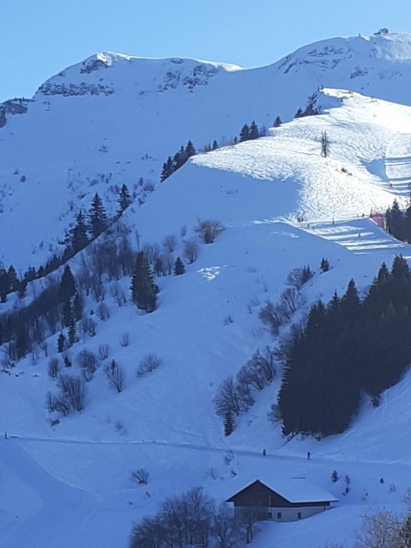 Au Grand Tétras chez Pat_Samoëns - © Yvette Vaudiaux Au Grand Tétras chez Pat_Samoëns