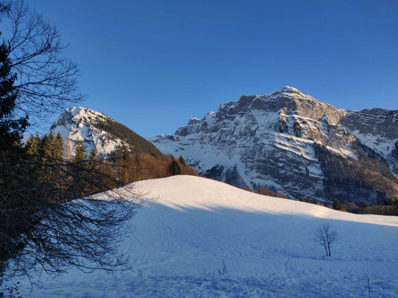 Vue sur le Criou depuis le chalet