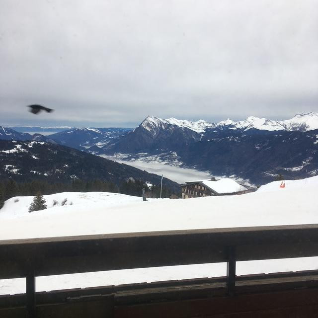 Studio Les Cimes_Samoëns