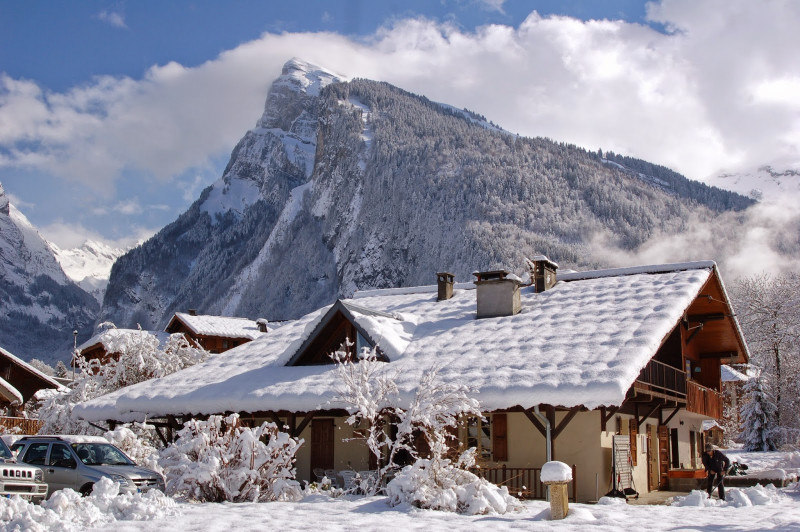 Epilobes hiver