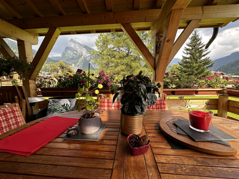 le chalet du Bérouze - la terrasse