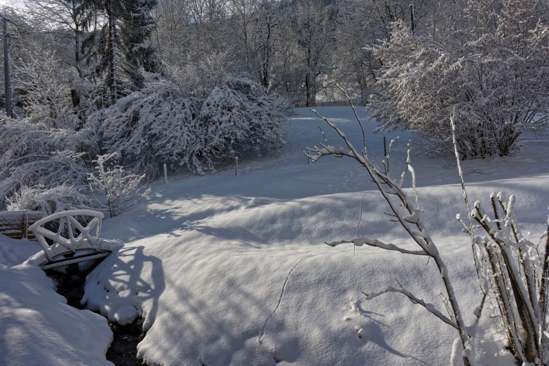 Vue du pré après la neige