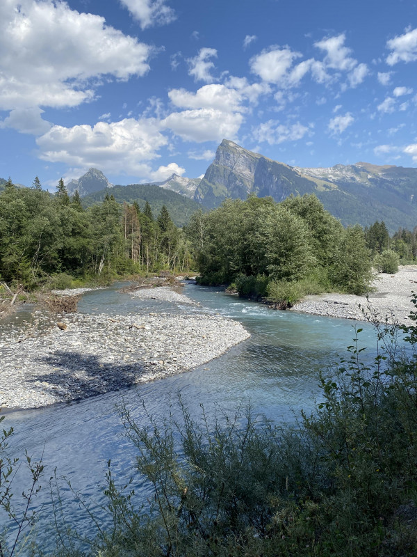 Appartement Les Chardons Argentés_Samoëns