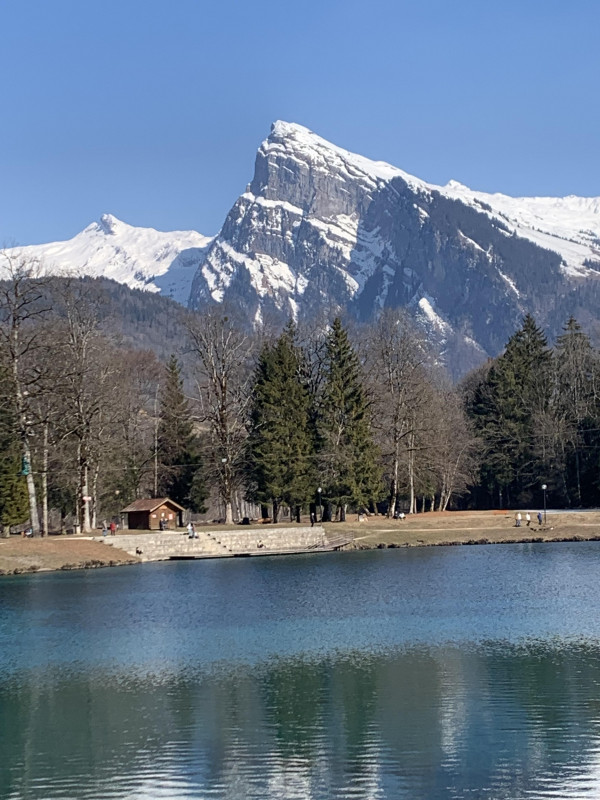Appartement Les Chardons Argentés_Samoëns