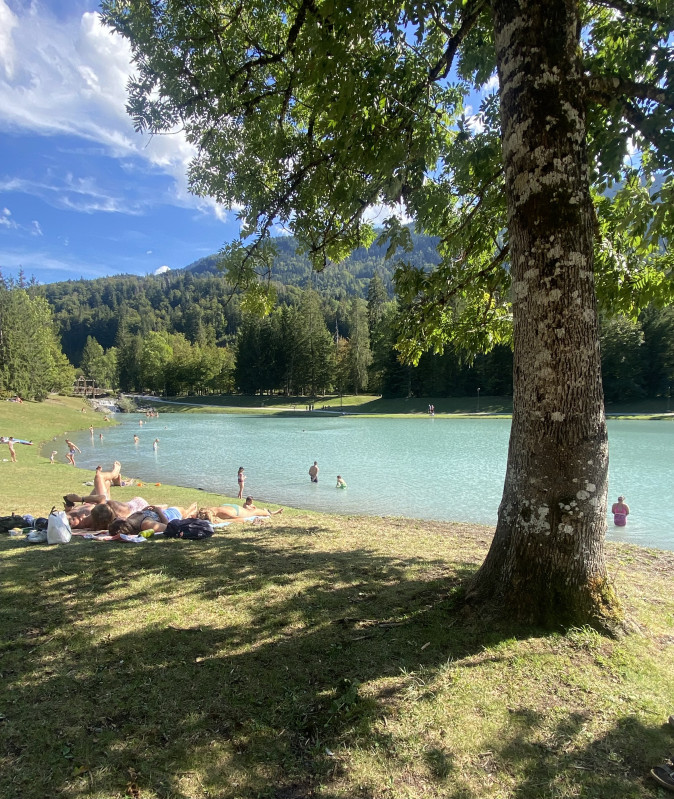 Appartement Les Chardons Argentés_Samoëns