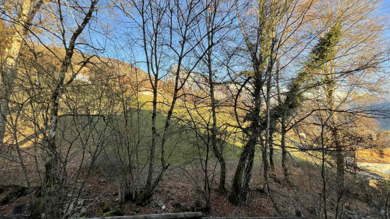 _lv_images__lot_0000000050_06_4027213