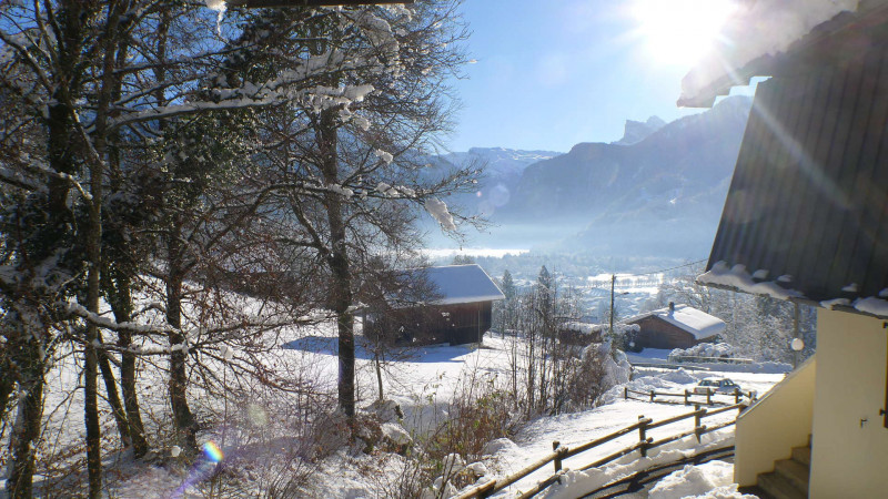 _lv_images__lot_0000000050_07_3169302 _lv_images__lot_0000000050_07_3169302