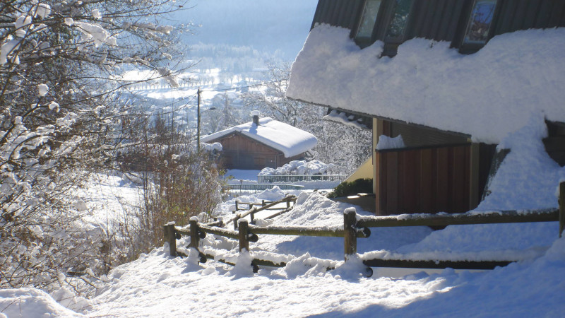 _lv_images__lot_0000000050_09_3709623