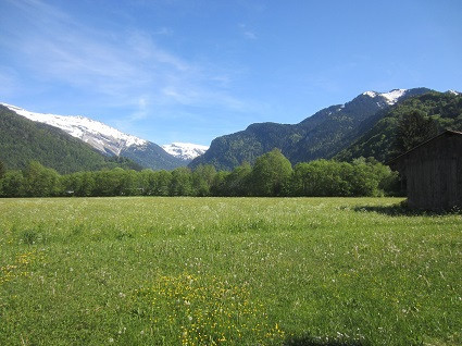 _lv_images__lot_0000000085_06_3693569