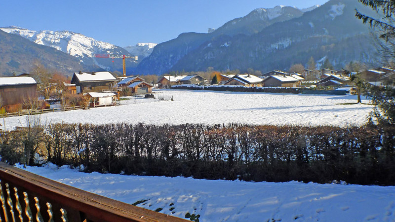 _lv_images__lot_0000000111_11_3590035