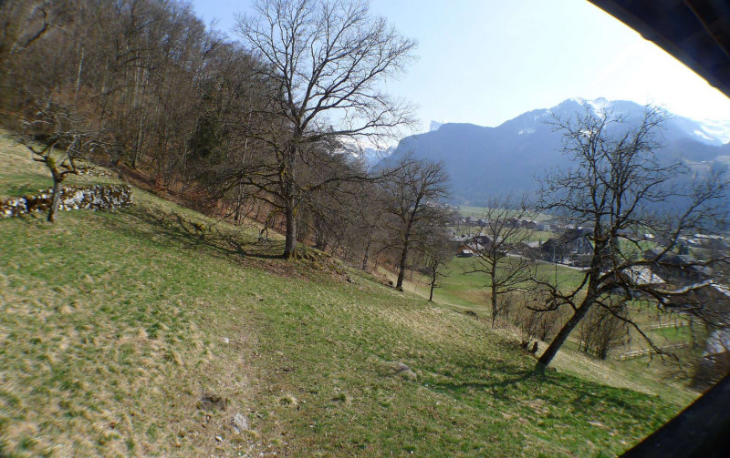 _lv_images__lot_0000000143_10_4023585 _lv_images__lot_0000000143_10_4023585