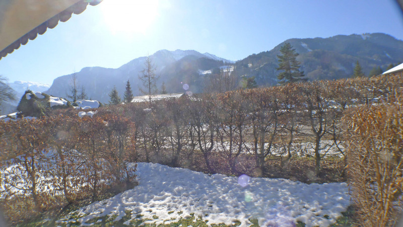 _lv_images__lot_0000000148_11_4016908 _lv_images__lot_0000000148_11_4016908