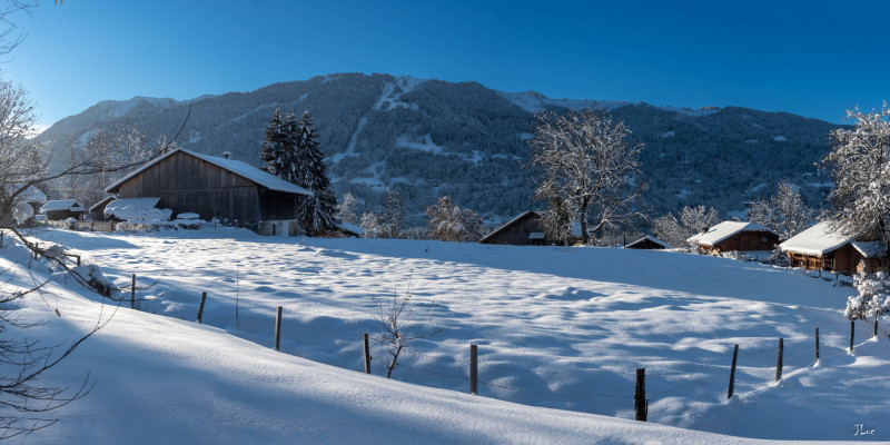 _lv_images__lot_0000000167_09_3651115