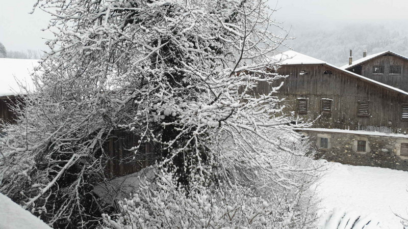 _lv_images__lot_0000000173_10_3472072