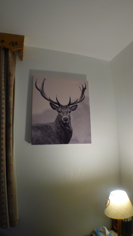 _lv_images__lot_0000000179_07_3602020 _lv_images__lot_0000000179_07_3602020