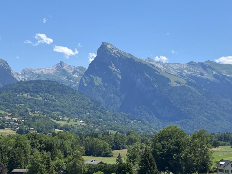 _lv_images__lot_0000000183_16_3322247