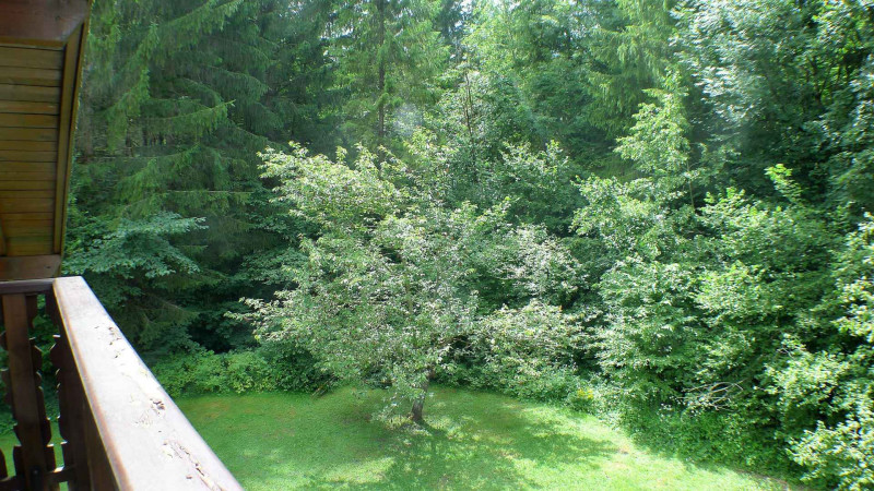 _lv_images__lot_0000000189_16_3598917