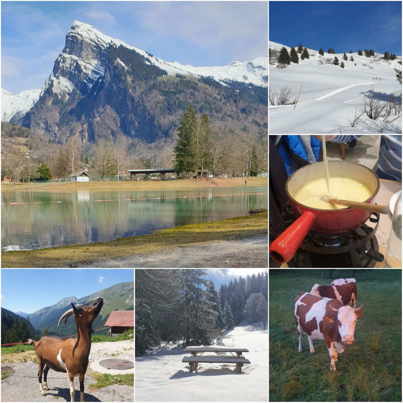 _lv_images__lot_0000000205_11_3702782