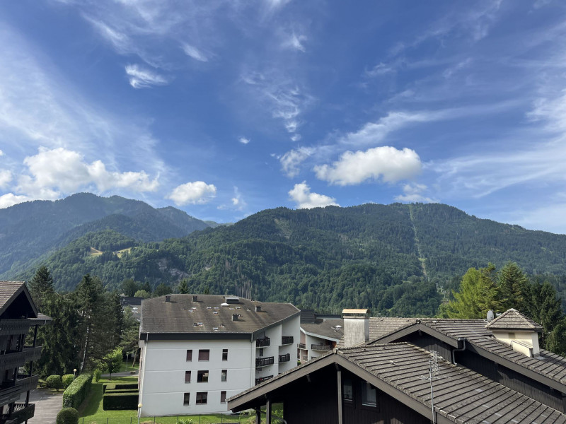 _lv_images__lot_0100041385_15_3646472